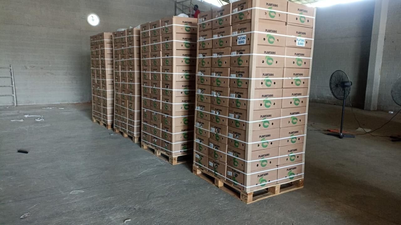 Estibas listas para exportación