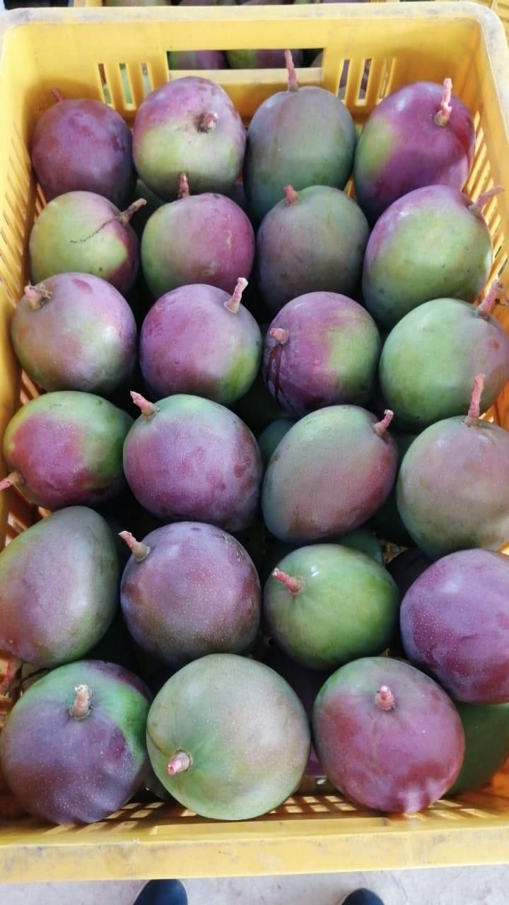 Mango en canastilla