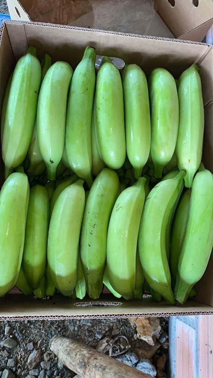 Plátano hartón empacado